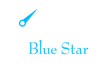 Rigel Blue Star Financial & Insurance Services LLC